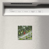 聞（鳥）ショウジョウコウカンチョウ マグネット (インサイチュ (食洗機))