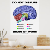 職場で脳の邪魔をしない（解剖学的ユーモア） ポスター (キッチン)