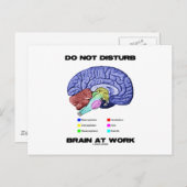 職場で脳の邪魔をしない(解剖学的ユーモア) ポストカード (正面/裏面)