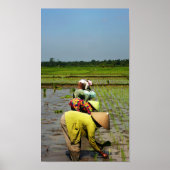 職場の女性 ポスター (正面)