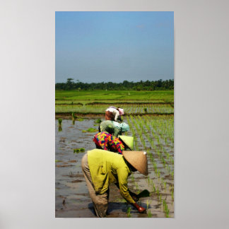 職場の女性 ポスター