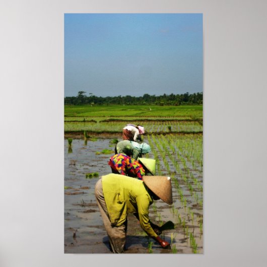 職場の女性 ポスター (正面)