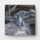 職場主任の首飾り巻き フォトプラーク (正面)