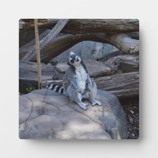 職場主任の首飾り巻き フォトプラーク (正面)