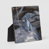 職場主任の首飾り巻き フォトプラーク (正面)