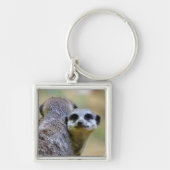 肉または頭皮のポートレート キーホルダー (正面)