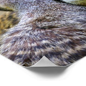 肉または頭皮のポートレート ポスター (角)