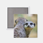 肉または頭皮のポートレート マグネット (正面/裏面)