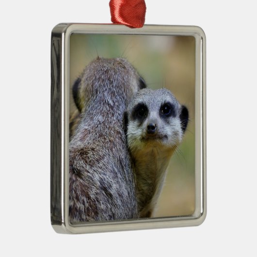 肉または頭皮のポートレート メタルオーナメント (右)