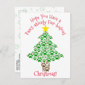 肉付き毛の膨らんだクリスマスポープ写真 シーズンポストカード (正面/裏面)