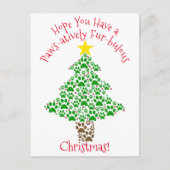 肉付き毛の膨らんだクリスマスポープ写真 シーズンポストカード (正面)