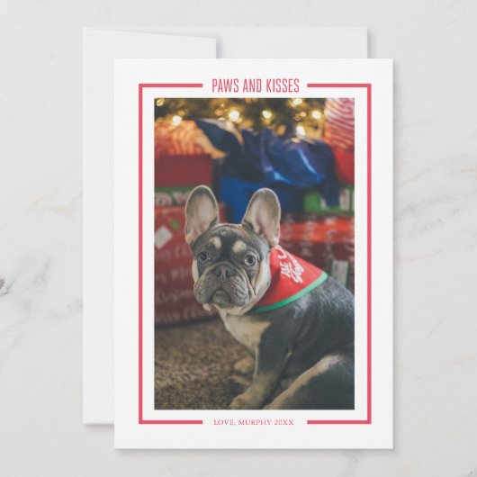 肉球とキス 面白いペットの写真 ホリデーカード 招待状 (正面)