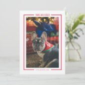 肉球とキス 面白いペットの写真 ホリデーカード 招待状 (スタンド正面)