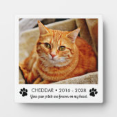 肉球の猫メモリアル写真 フォトプラーク (正面)