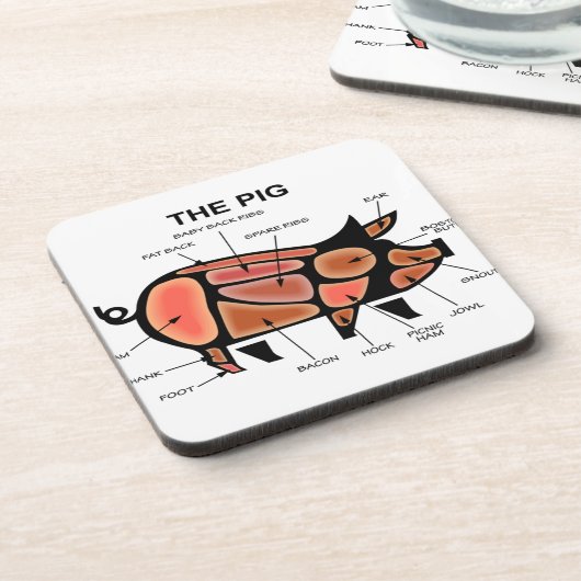 肉質図 コースター (左側)