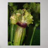 肉食だ！ ポスター (正面)