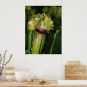 肉食だ！ ポスター (キッチン)