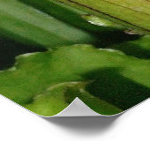 肉食だ！ ポスター (角)