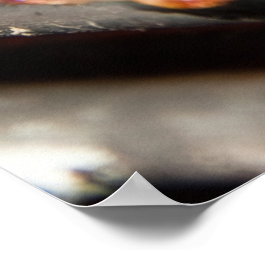 肉食動物 ポスター (角)