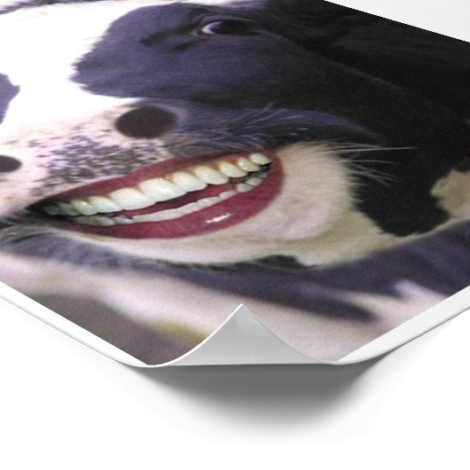 肉食動物 ポスター (角)