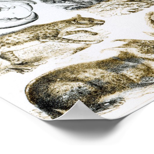 肉食動物 ポスター (角)