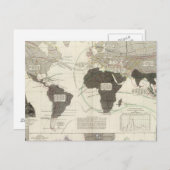 肉食動物 ポストカード (正面/裏面)