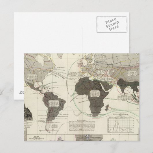 肉食動物 ポストカード (正面/裏面)