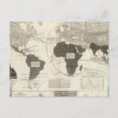 肉食動物 ポストカード (正面)