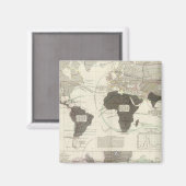 肉食動物 マグネット (正面/裏面)