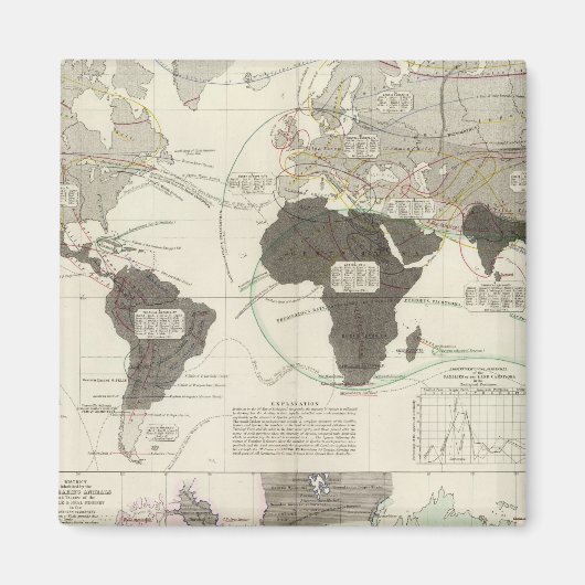 肉食動物 マグネット (正面)