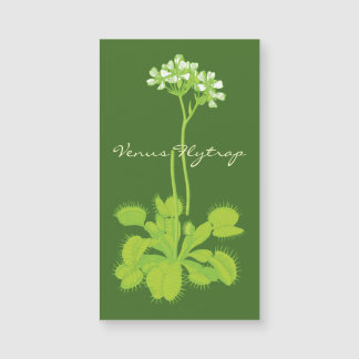 肉食性のハエトリグサ