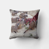 肉食性の肉の肉には茶用の肋骨がある。 クッション (裏面)