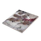 肉食性の肉の肉には茶用の肋骨がある。 タイル (側面)