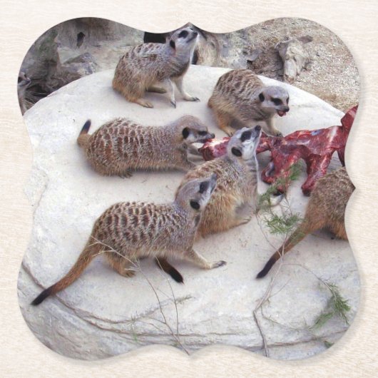 肉食性の肉の肉には茶用の肋骨がある。 ペーパーコースター (正面)