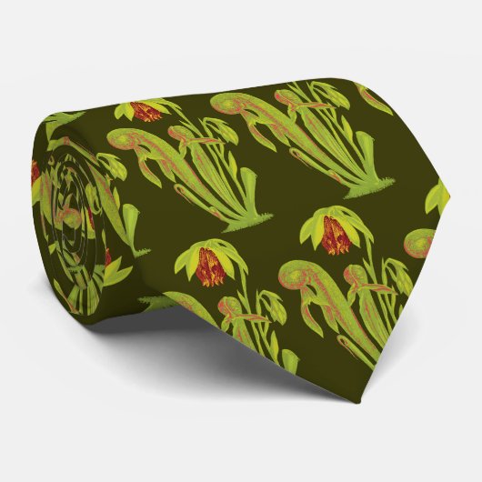 肉食性カリフォルニア嚢状葉植物 ネクタイ (ロール)