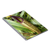 肉食性ピッチャーの植物の写真 ノートブック (右側)