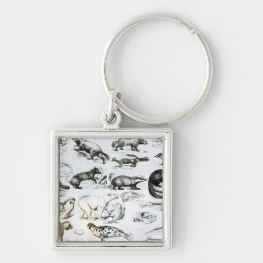 肉食性動物 キーホルダー (正面)