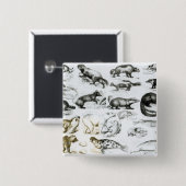 肉食性動物 缶バッジ (正面&裏面)