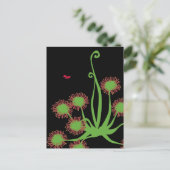 肉食日露植物 ポストカード (スタンド正面)