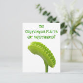 肉食植物はベジタリアンを食べられますか ポストカード (スタンド正面)