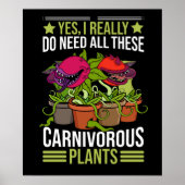 肉食植物ギフトメンサラセニアビーナフライ ポスター (正面)