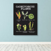 肉食植物種サラセニアビーナスフライトラップ キャンバスプリント (インサイチュ (ウッドフロア))