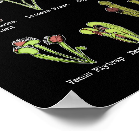 肉食植物種サラセニアビーナスフライトラップ ポスター (角)