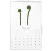 肉食植物 カレンダー (1月 2027)