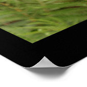 肉食植物 ポスター (角)