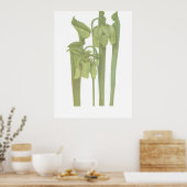 肉食植物 – Sarracenia flava ポスター (キッチン)