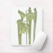 肉食植物 – Sarracenia flava マウスパッド (マウス)