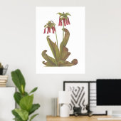 肉食植物 – Sarracenia psittacina ポスター (ホームオフィス)