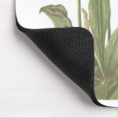 肉食植物- Sarracenia purpurea マウスパッド (コーナー)