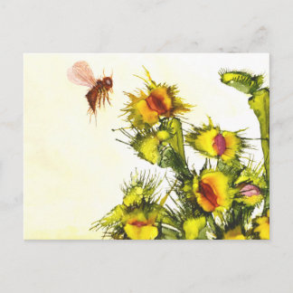 「肉食葉書」 ポストカード